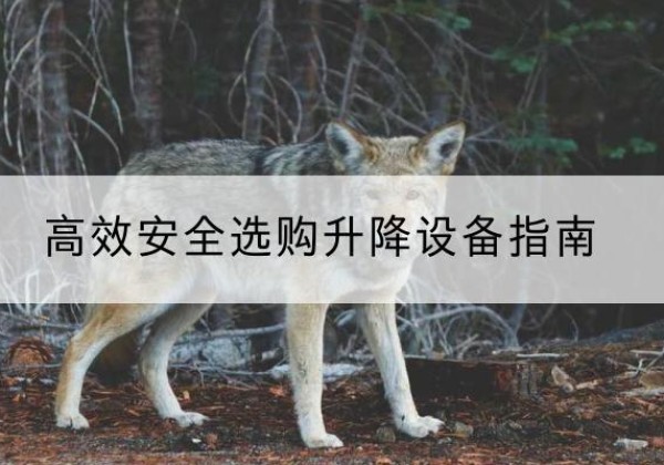 黔西南升降货梯厂家推荐-*安全选购升降设备指南