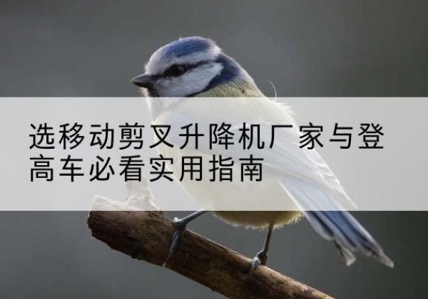 黔西南电动升降机厂家-选移动剪叉升降机厂家与登高车必看实用指南